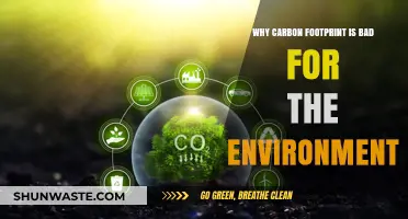 Carbon Footprint's Devastating Impact: Harming Our Environment and Future