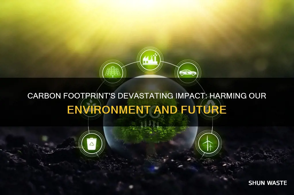 why carbon footprint is bad for the environment