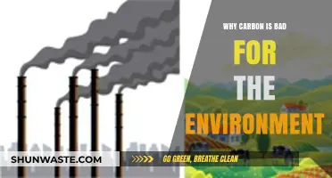 Carbon's Environmental Impact: Understanding Its Harmful Effects on Our Planet