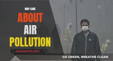 Air Pollution: A Matter of Life and Breath