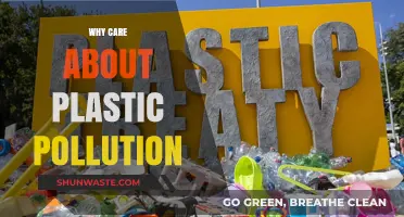 Plastic Pollution Crisis: Why It Matters and How You Can Help