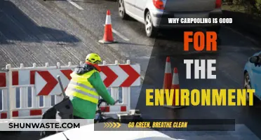 Carpooling: A Green Commute Choice for a Healthier Planet