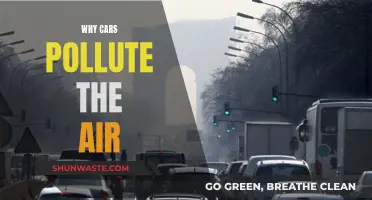 Cars: Polluting Our Air, Why and How?