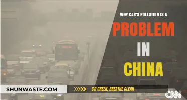 China's Air Crisis: The Impact of Car Pollution on Public Health