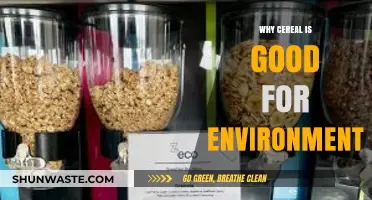 Eco-Friendly Breakfast: How Cereal Benefits Our Planet's Health