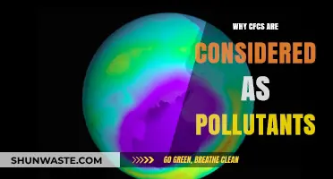 CFCs: The Hidden Pollutants Destroying Our Ozone Layer