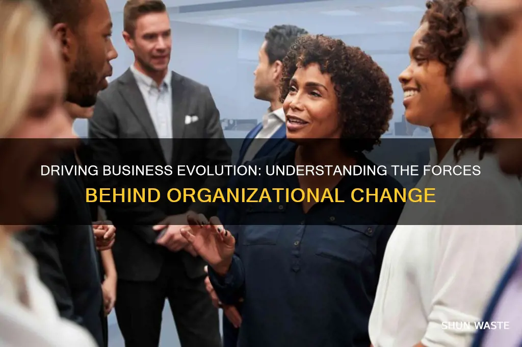 why change happens in a business environment