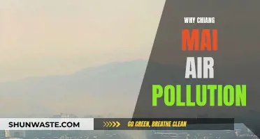 Chiang Mai's Air Pollution: The Haze Over Paradise