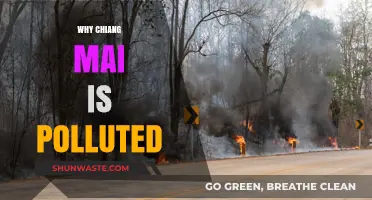 Chiang Mai's Air Pollution Crisis: Causes and Consequences Explained