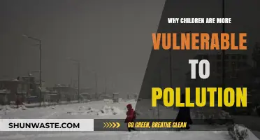Children's Vulnerability to Pollution: Understanding the Risks and Impacts