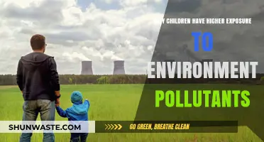 Children's Vulnerability: Higher Exposure to Environmental Pollutants Explained