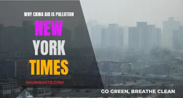 China's Air Pollution: A New York Times Exposé