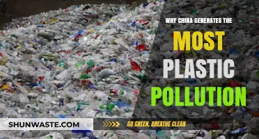 China's Plastic Crisis: Unraveling the Roots of Global Pollution