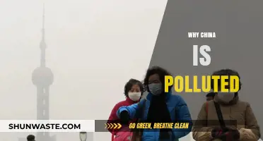 China's Pollution Crisis: Causes, Impacts, and Urgent Solutions Needed