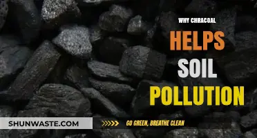 Charcoal's Role in Combating Soil Pollution: A Natural Solution