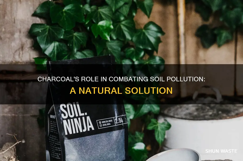 why chracoal helps soil pollution