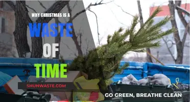 Rethinking the Holidays: Why Christmas Might Be a Waste of Time