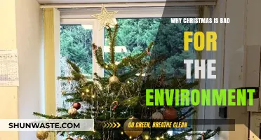 Christmas's Environmental Impact: Unwrapping the Holiday's Hidden Ecological Costs