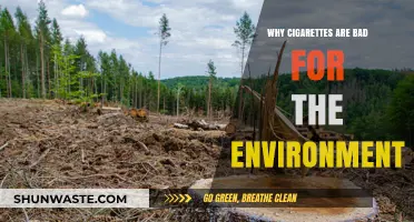 Cigarettes' Hidden Environmental Impact: Pollution, Waste, and Ecosystem Destruction