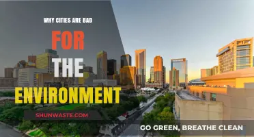 Urban Environmental Impact: How Cities Harm Our Planet's Health