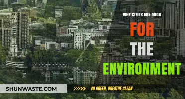 Urban Living: How Cities Drive Environmental Sustainability and Green Innovation