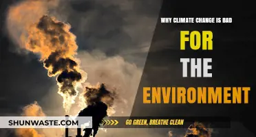 Climate Change's Devastating Impact: How It Harms Our Fragile Environment