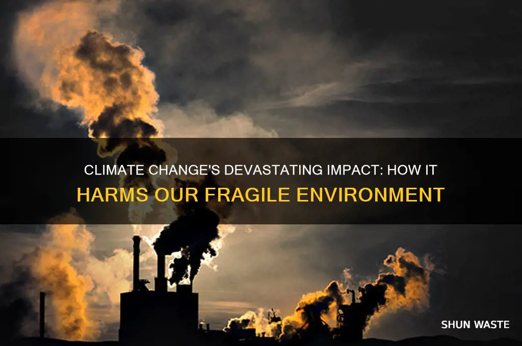 why climate change is bad for the environment
