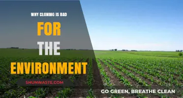 Cloning's Ecological Footprint: Unveiling Environmental Risks and Consequences