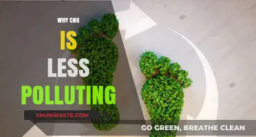 CNG: A Cleaner, Greener Fuel Choice for Reducing Emissions