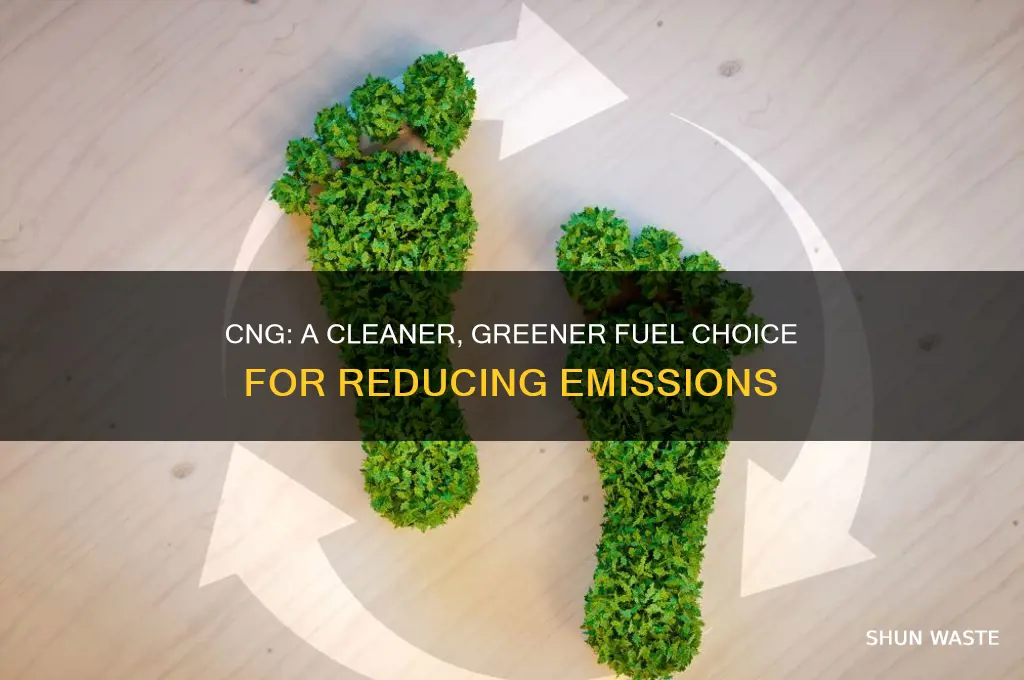 why cng is less polluting