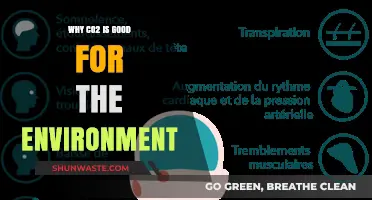CO2's Surprising Benefits: How Carbon Dioxide Supports a Healthy Environment