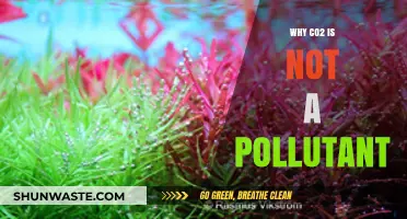 CO2: Essential for Life, Not a Pollutant – The Science Explained