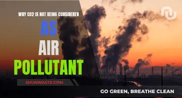 CO2: Friend or Foe in the Air We Breathe?