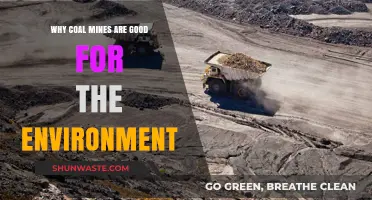 Coal Mines: Unveiling Surprising Eco-Benefits and Sustainable Practices