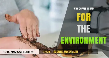 The Hidden Environmental Costs of Your Daily Coffee Habit