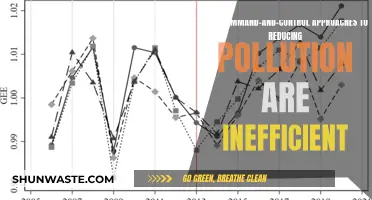 Command-and-Control Pollution Reduction: Inefficient and Problematic