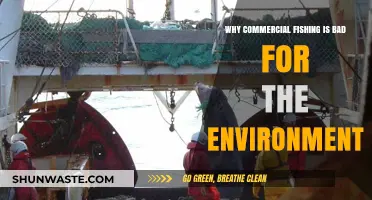 Commercial Fishing's Devastating Impact on Our Oceans and Ecosystems
