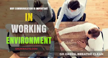 Effective Communication: The Key to Success in the Workplace