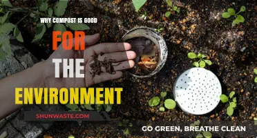 Composting Benefits: How Organic Waste Boosts Soil and Reduces Emissions