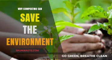 Composting: A Simple Yet Powerful Tool to Save Our Planet