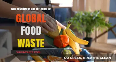 The Hidden Culprits: How Consumer Behavior Fuels Global Food Waste