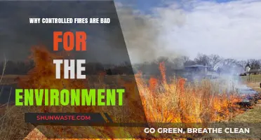 Controlled Burns: Uncontrolled Environmental Damage and Long-Term Ecological Consequences