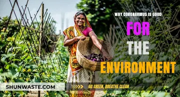 Coronavirus' Unexpected Silver Lining: Environmental Benefits Amidst the Pandemic