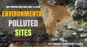 Corporate Pollution Loopholes: Why Companies Avoid Cleaning Contaminated Sites