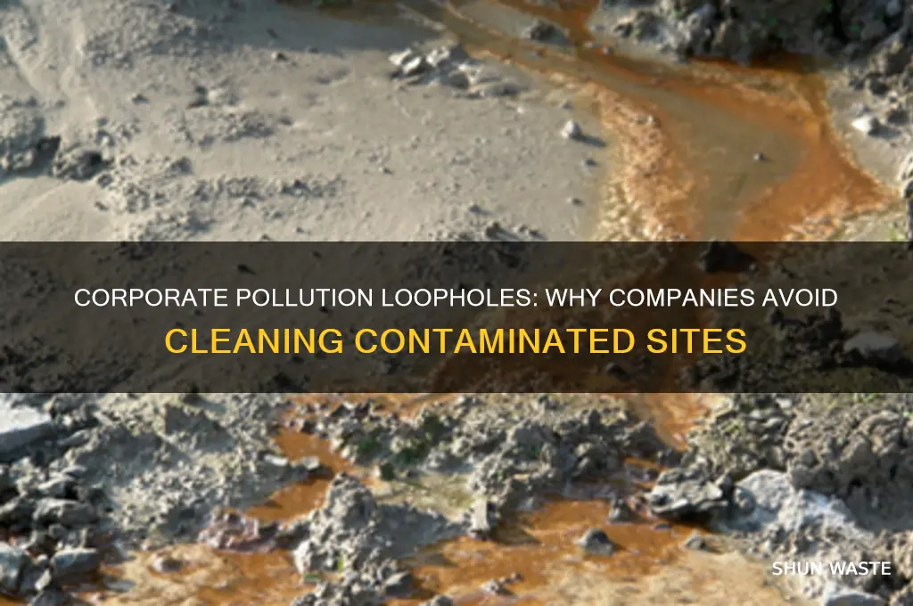 why corporations dont have to clean environmentally polluted sites