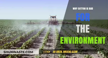 The Hidden Environmental Costs of Cotton Production and Consumption