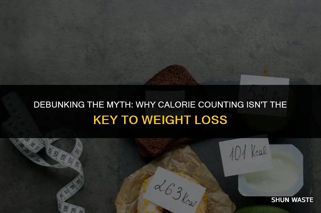 why counting calories is a waste of time