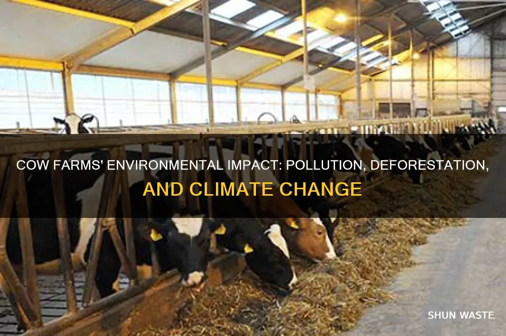 why cow farms are bad for environment