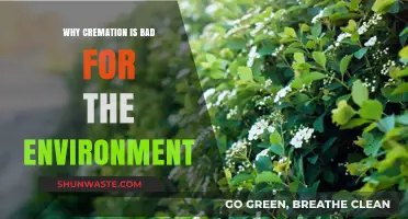 Cremation's Hidden Costs: Environmental Impact and Sustainable Alternatives