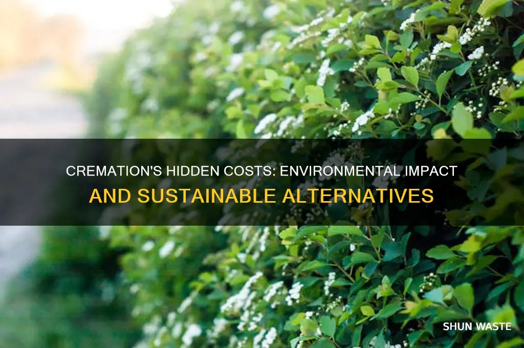 why cremation is bad for the environment